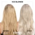 Midnight Bold Multi-Faceted Permanent Hair Color