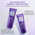 Sulfate Free Purple Conditioner for Toning Blonde Hair1