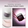 Black Rose Hydra Plumping Sorbet Cream 50mlsss
