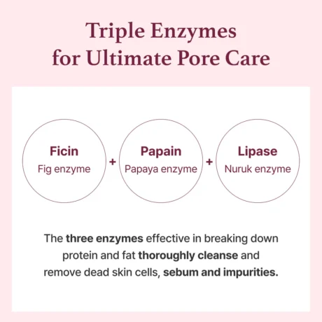 Fig Enzyme Powder Cleansersss