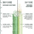 Hair Filler Inner Fiber Repair Pre-Shampoo Treatmentsss
