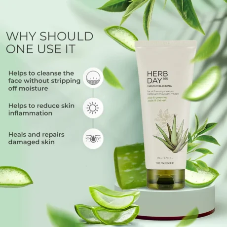 Herb Day Cleansing Foam Aloe - 100ml1