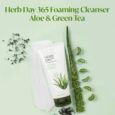 Herb Day Cleansing Foam Aloe - 100ml5