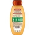 Honey Treasures Repairing Shampoos
