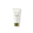 Mugwort Mask 30g