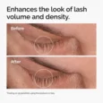 Multi-Peptide Lash and Brow Serum2