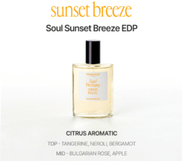 THE FACE SHOP Soul Secret Perfume 30ml