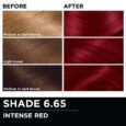 6.65 - Intense Redsss