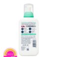 Balancing Air Foam Facial Cleansers