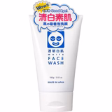 Ishizawa Toumei Shirohada Skin Brightening Foaming Face Was