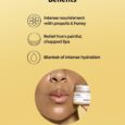 Lip Sleep - Full Fit Propolis Lip Sleeping Maskss