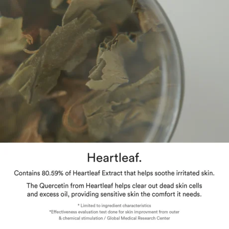Heartleaf Essence Calming Pumpss