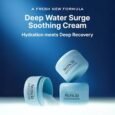 Arencia Deep Water Surge Soothing Cream, Hyaluronic Acid + Cica PDRN & Ceramide, 2.70 fl ozs