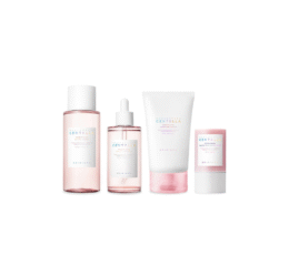 SKIN 1004 Perfect Pore Set