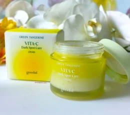 Goodal Green Tangerine Vita-C Dark Spot Cream | Price in Bangladesh